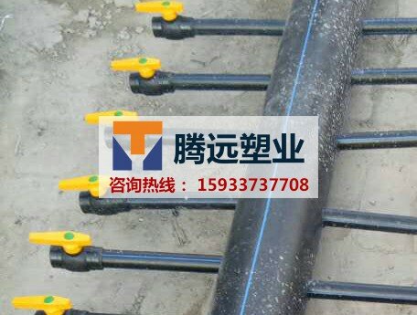 案例详情